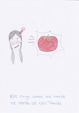 Redewendungen auf Französisch grafisch dargestellt