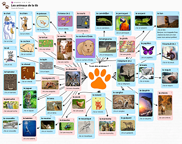 Schaubild mit Tieren und französischen Bezeichnungen