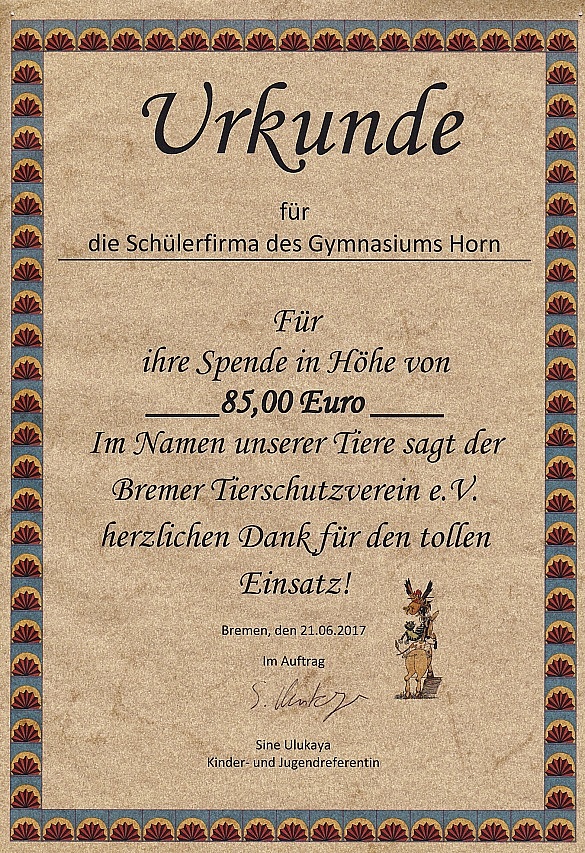 Ein Foto der Urkunde die für den Einsatz dankt